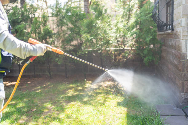 Seasonal Pest Control in Maple Grove, MN